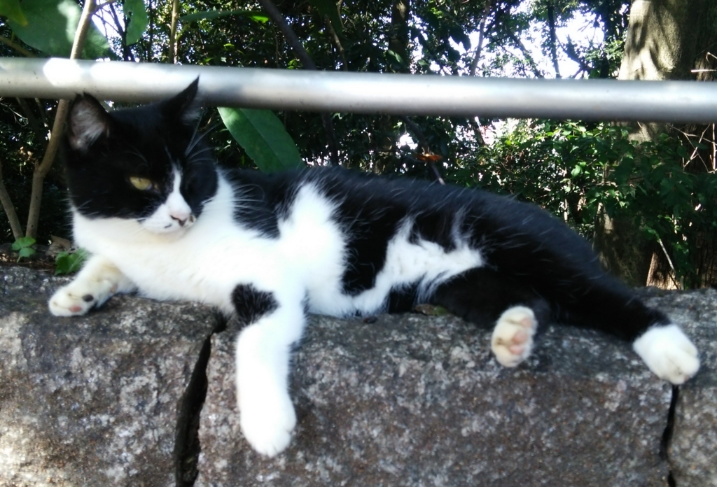 f:id:tarojiroko:20170930110536j:plain