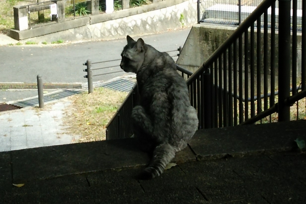 f:id:tarojiroko:20171025114139j:plain