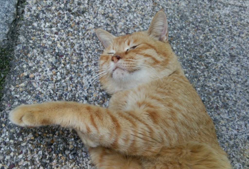 f:id:tarojiroko:20171025121646j:plain