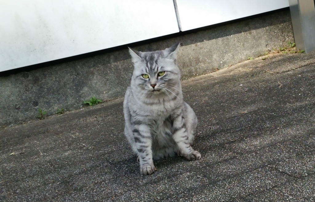 f:id:tarojiroko:20171030144937j:plain