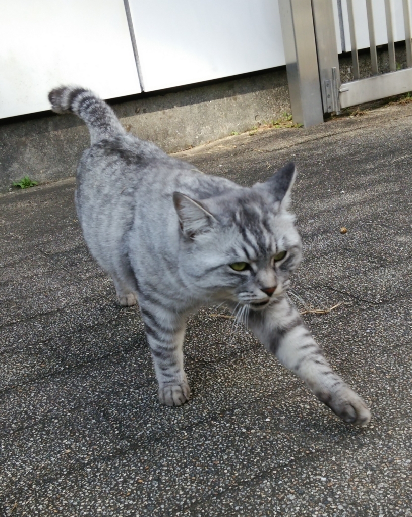 f:id:tarojiroko:20171030144939j:plain
