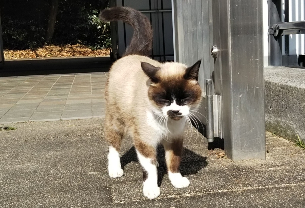 f:id:tarojiroko:20180101115957j:plain