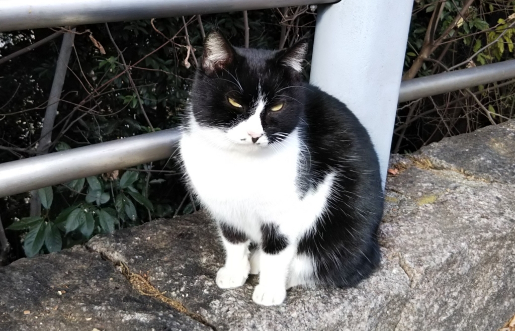 f:id:tarojiroko:20180101131508j:plain