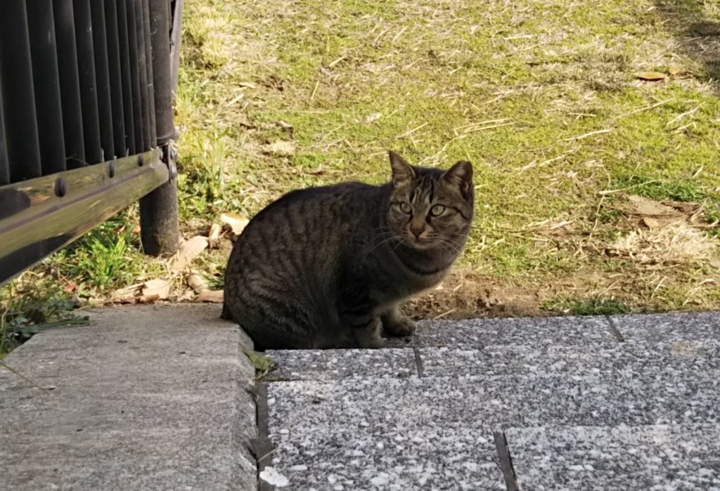 f:id:tarojiroko:20180104115130j:plain