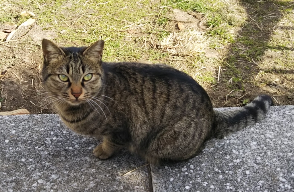 f:id:tarojiroko:20180104115255j:plain