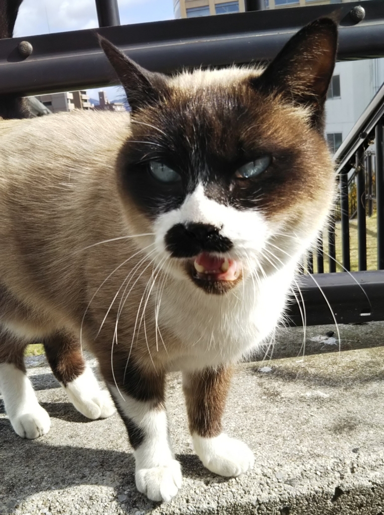 f:id:tarojiroko:20180104115935j:plain