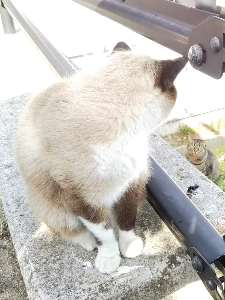 f:id:tarojiroko:20180105133249j:plain