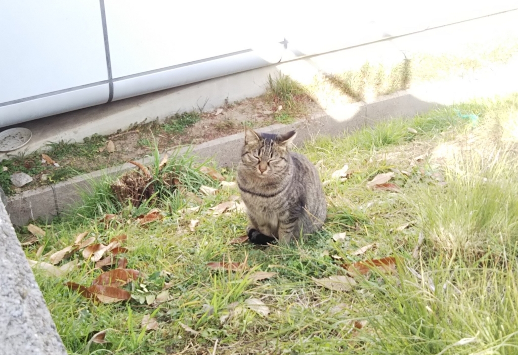 f:id:tarojiroko:20180105133349j:plain