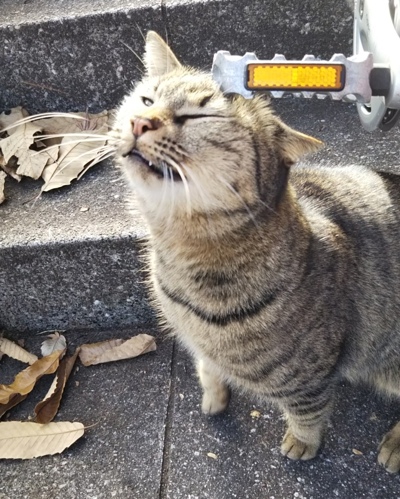f:id:tarojiroko:20180105140125j:plain