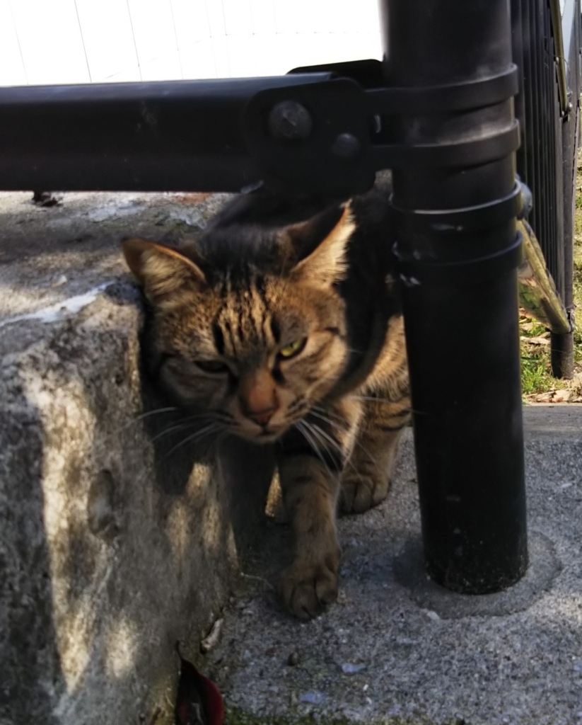 f:id:tarojiroko:20180106114044j:plain f:id:tarojiroko:20180106114044j:plain