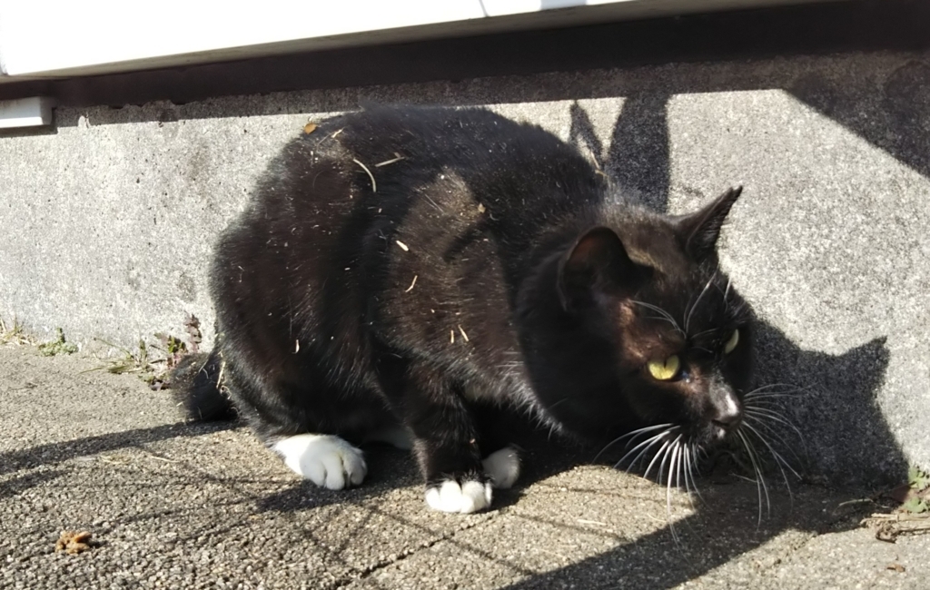 f:id:tarojiroko:20180106114858j:plain f:id:tarojiroko:20180106114858j:plain