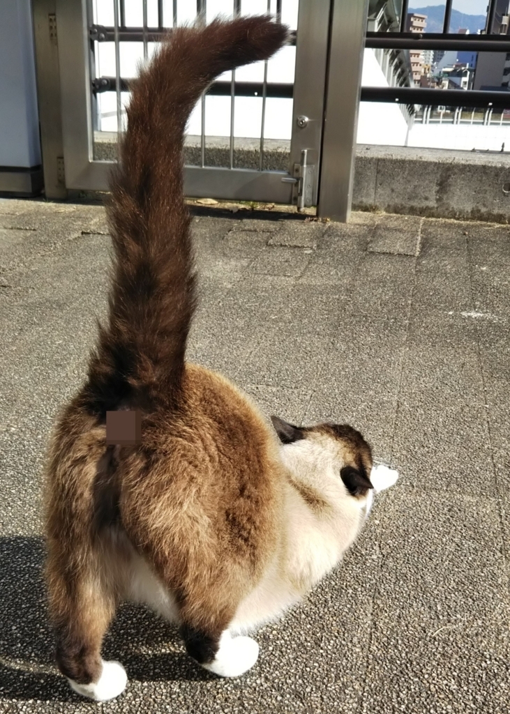 f:id:tarojiroko:20180106114907j:plain f:id:tarojiroko:20180106114907j:plain
