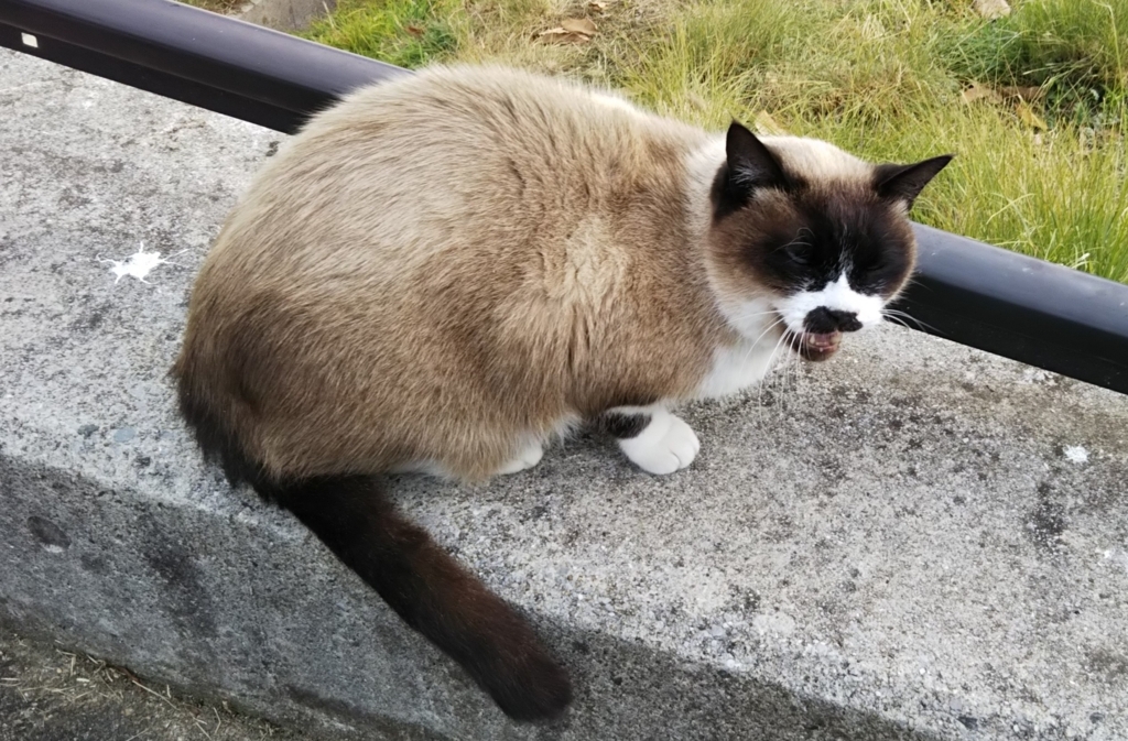 f:id:tarojiroko:20180107094112j:plain