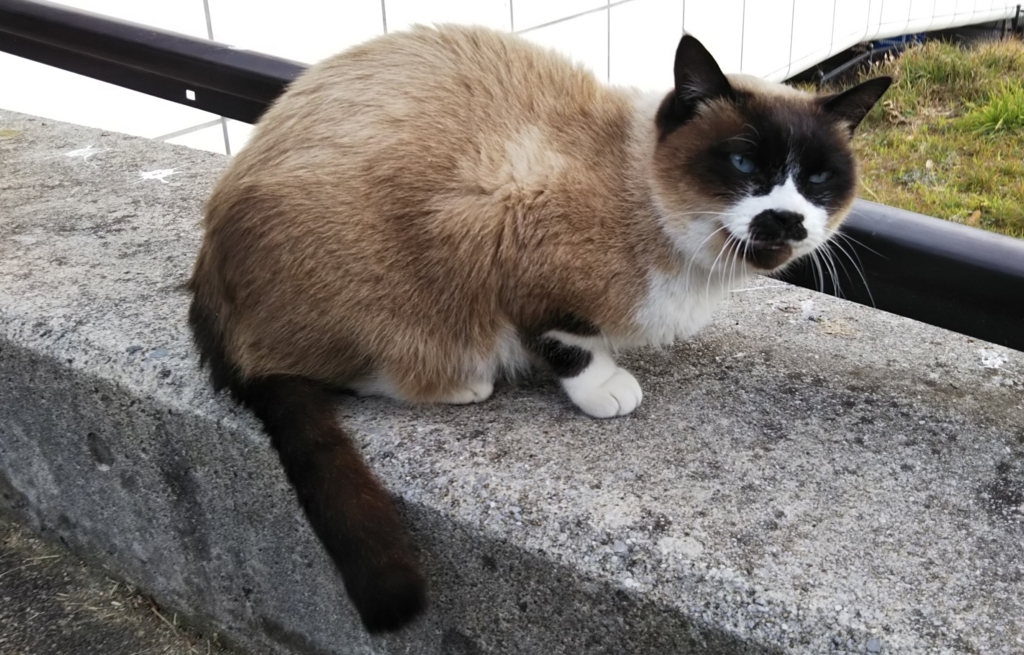 f:id:tarojiroko:20180107094113j:plain