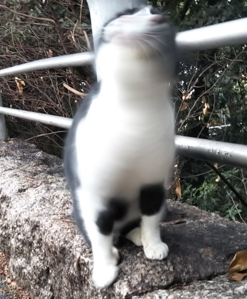 f:id:tarojiroko:20180108120456j:plain
