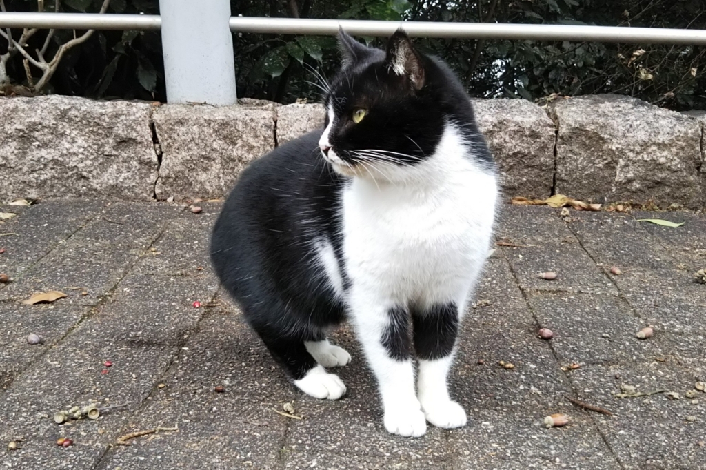 f:id:tarojiroko:20180109123051j:plain f:id:tarojiroko:20180109123051j:plain