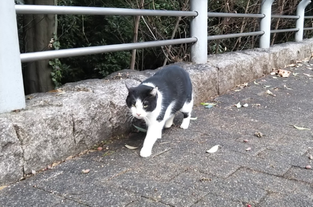 f:id:tarojiroko:20180109124152j:plain f:id:tarojiroko:20180109124152j:plain