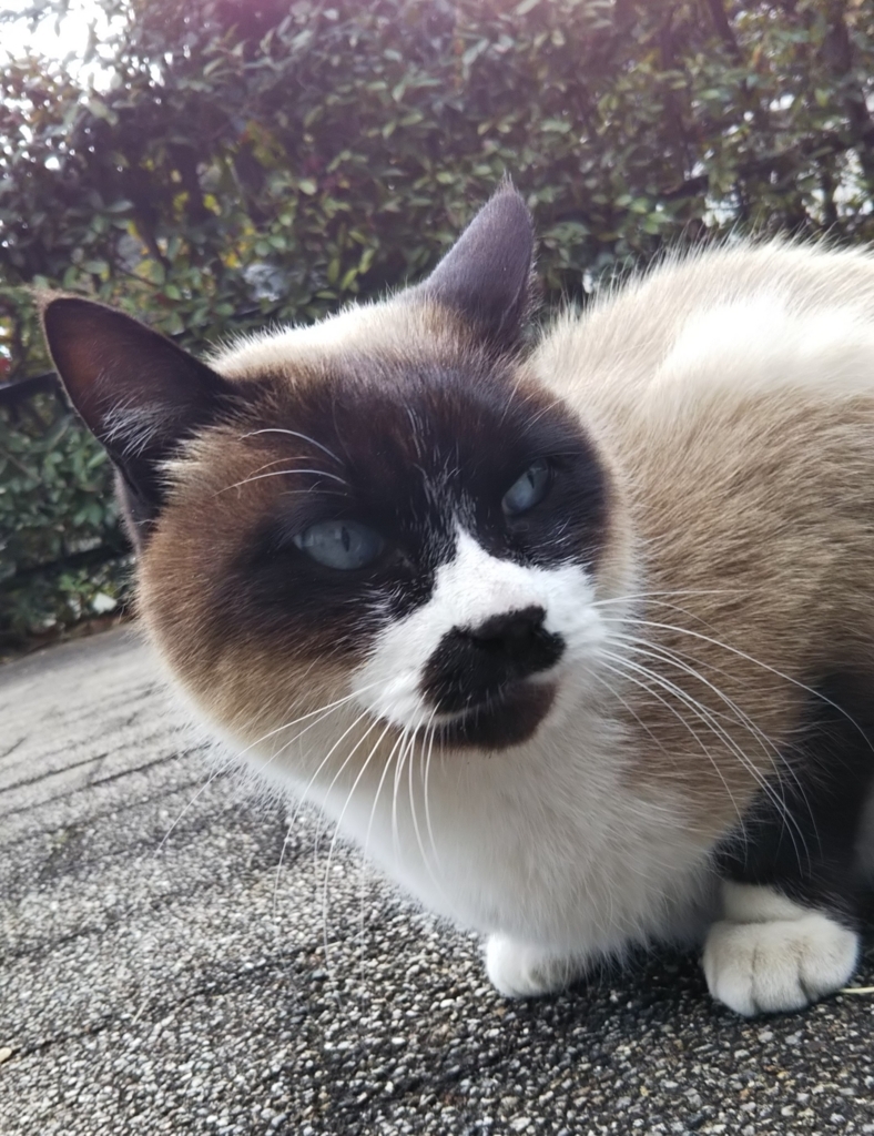 f:id:tarojiroko:20180109132942j:plain f:id:tarojiroko:20180109132942j:plain