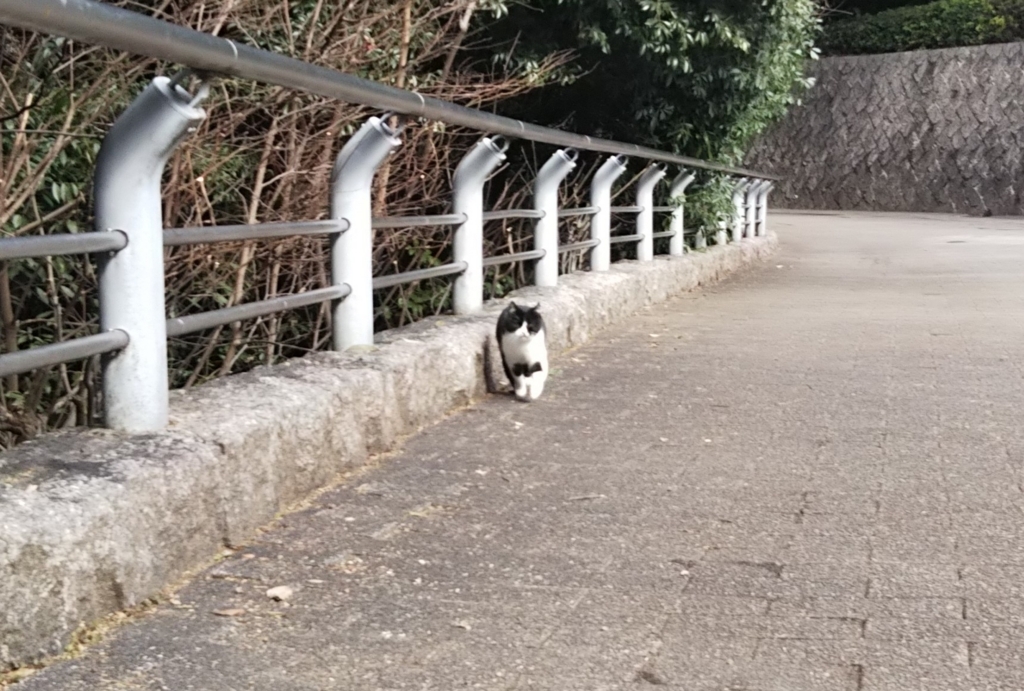 f:id:tarojiroko:20180110124144j:plain f:id:tarojiroko:20180110124144j:plain