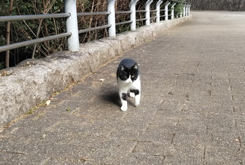 f:id:tarojiroko:20180110124146j:plain f:id:tarojiroko:20180110124146j:plain