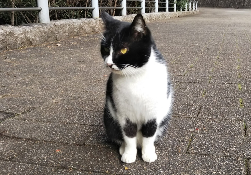 f:id:tarojiroko:20180110125140j:plain f:id:tarojiroko:20180110125140j:plain