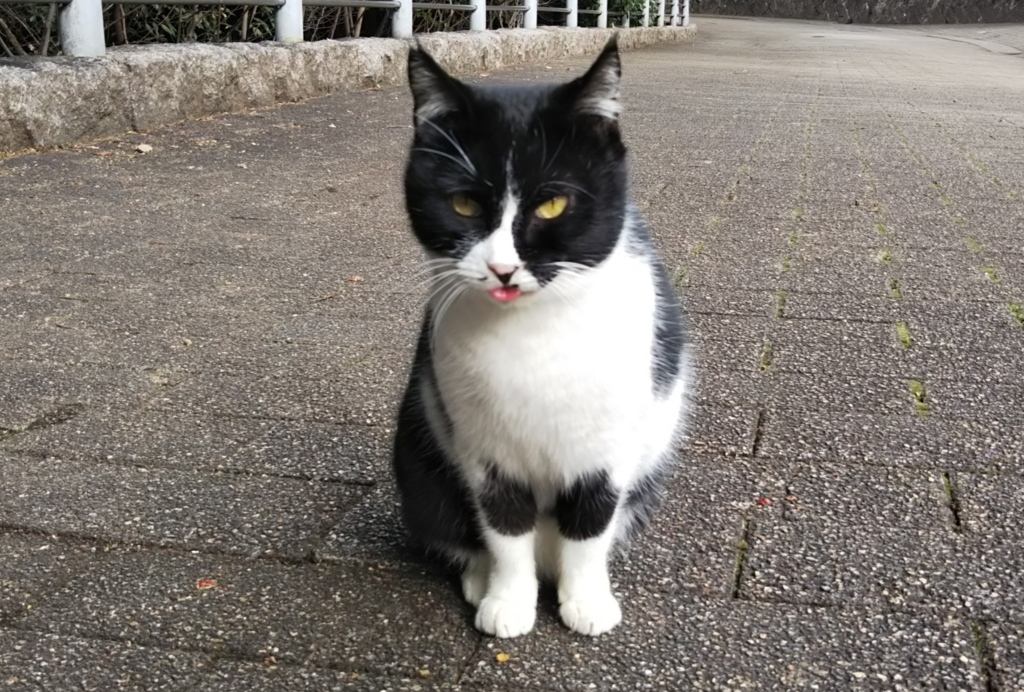 f:id:tarojiroko:20180110125145j:plain f:id:tarojiroko:20180110125145j:plain