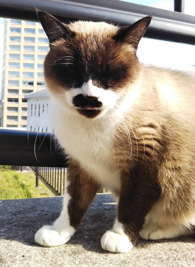 f:id:tarojiroko:20180110131945j:plain f:id:tarojiroko:20180110131945j:plain
