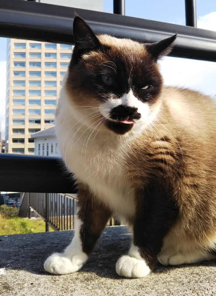 f:id:tarojiroko:20180110131958j:plain f:id:tarojiroko:20180110131958j:plain