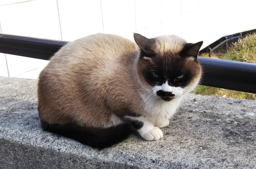 f:id:tarojiroko:20180114100220j:plain