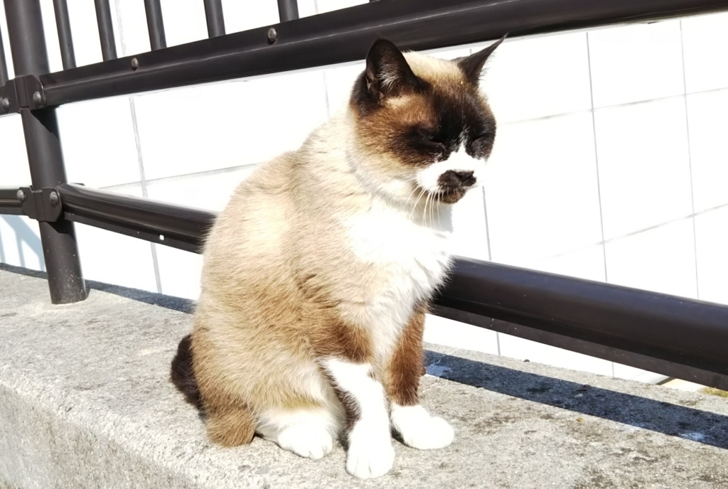 f:id:tarojiroko:20180116125403j:plain