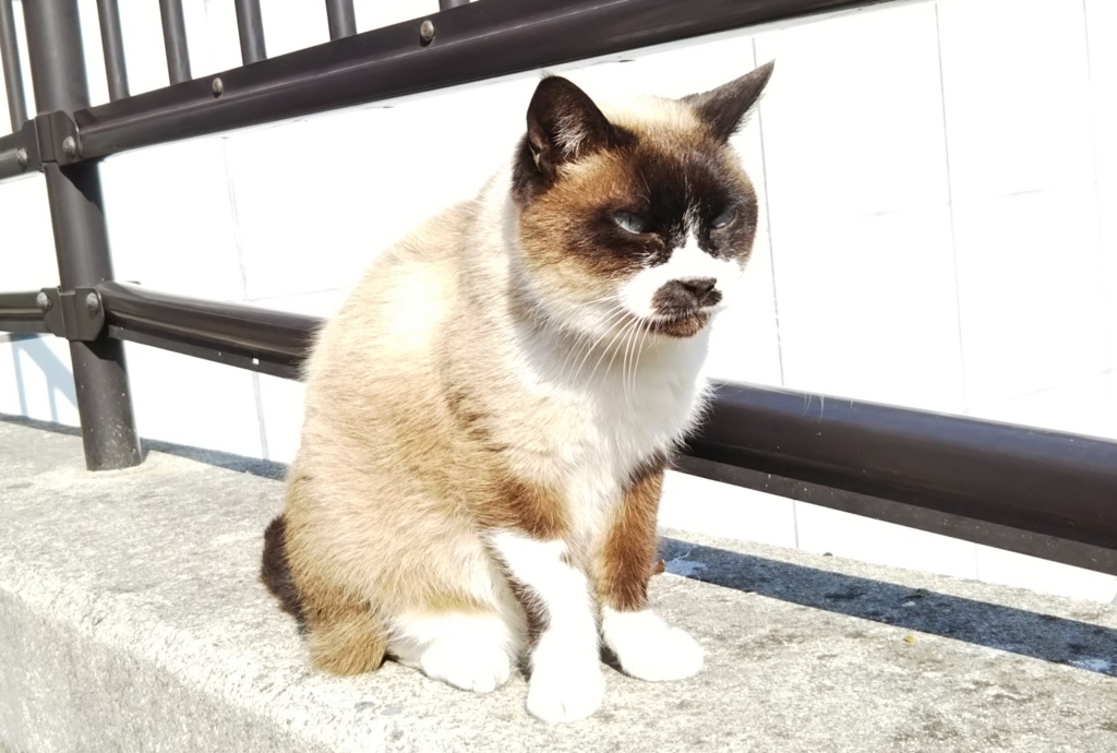 f:id:tarojiroko:20180116125407j:plain