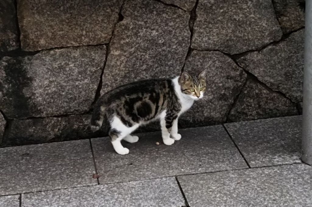 f:id:tarojiroko:20180118120135j:plain