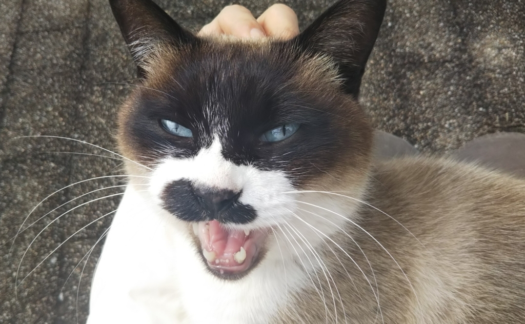 f:id:tarojiroko:20180118123456j:plain
