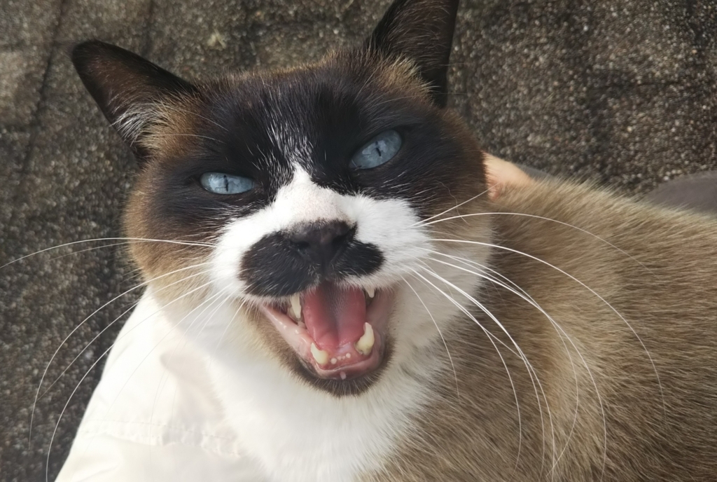 f:id:tarojiroko:20180118123502j:plain
