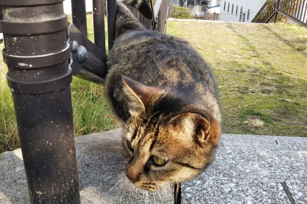 f:id:tarojiroko:20180119135003j:plain