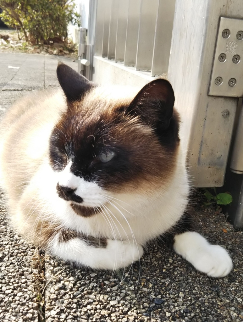f:id:tarojiroko:20180119142033j:plain