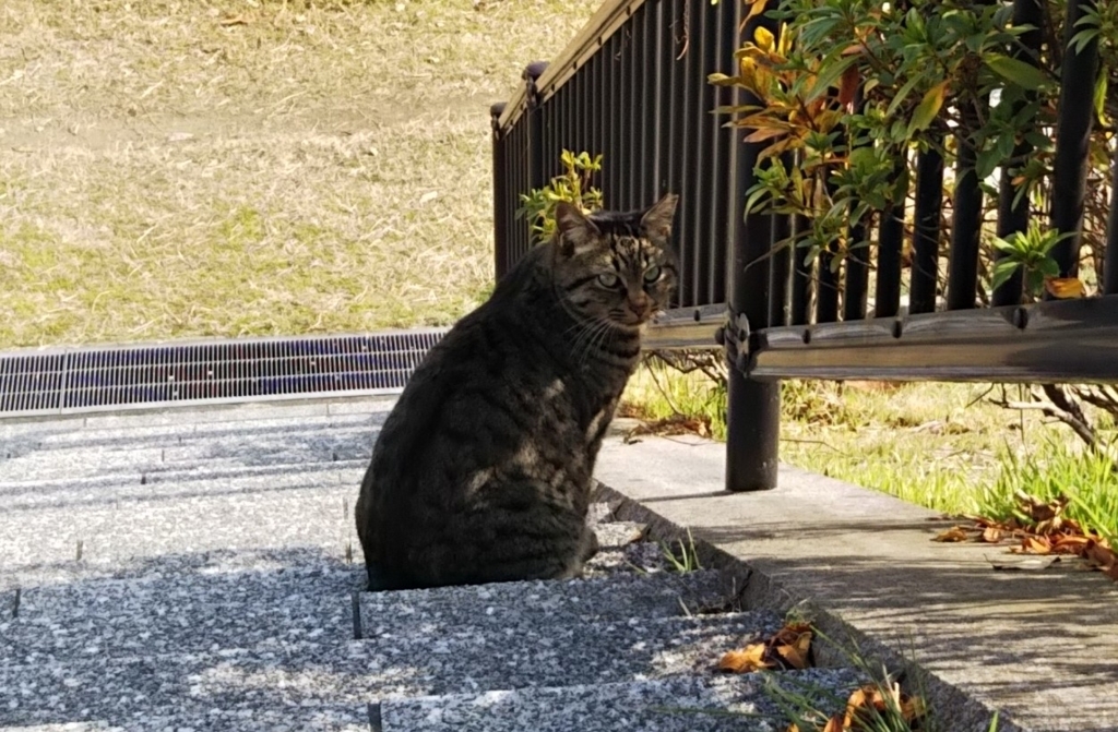 f:id:tarojiroko:20180120111656j:plain