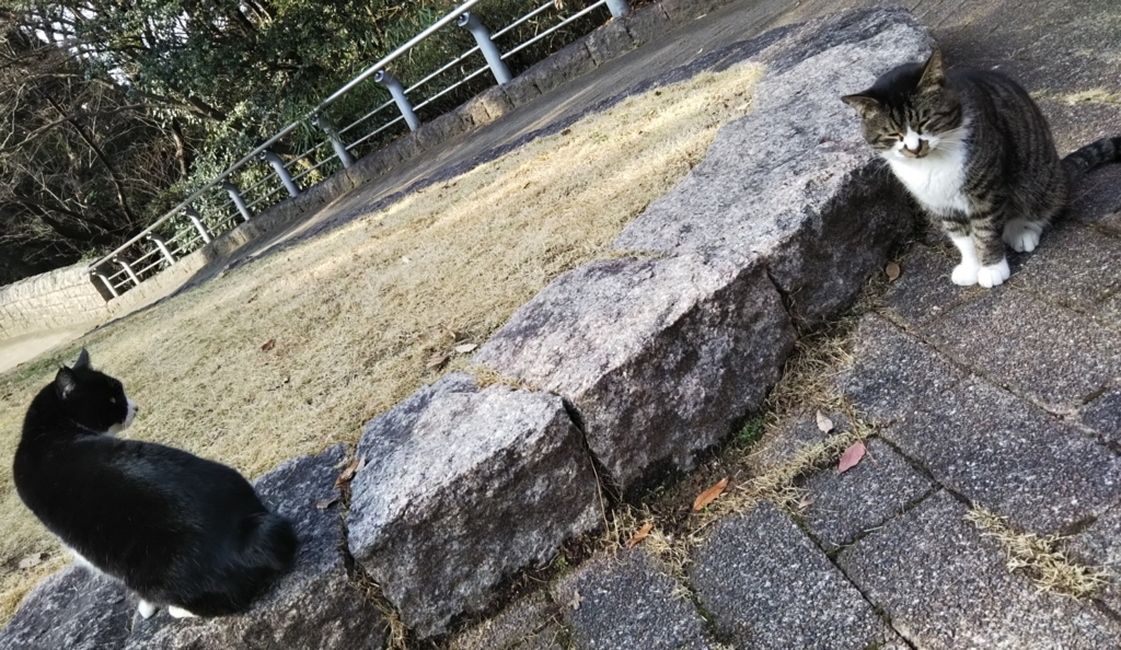 f:id:tarojiroko:20180120113822j:plain