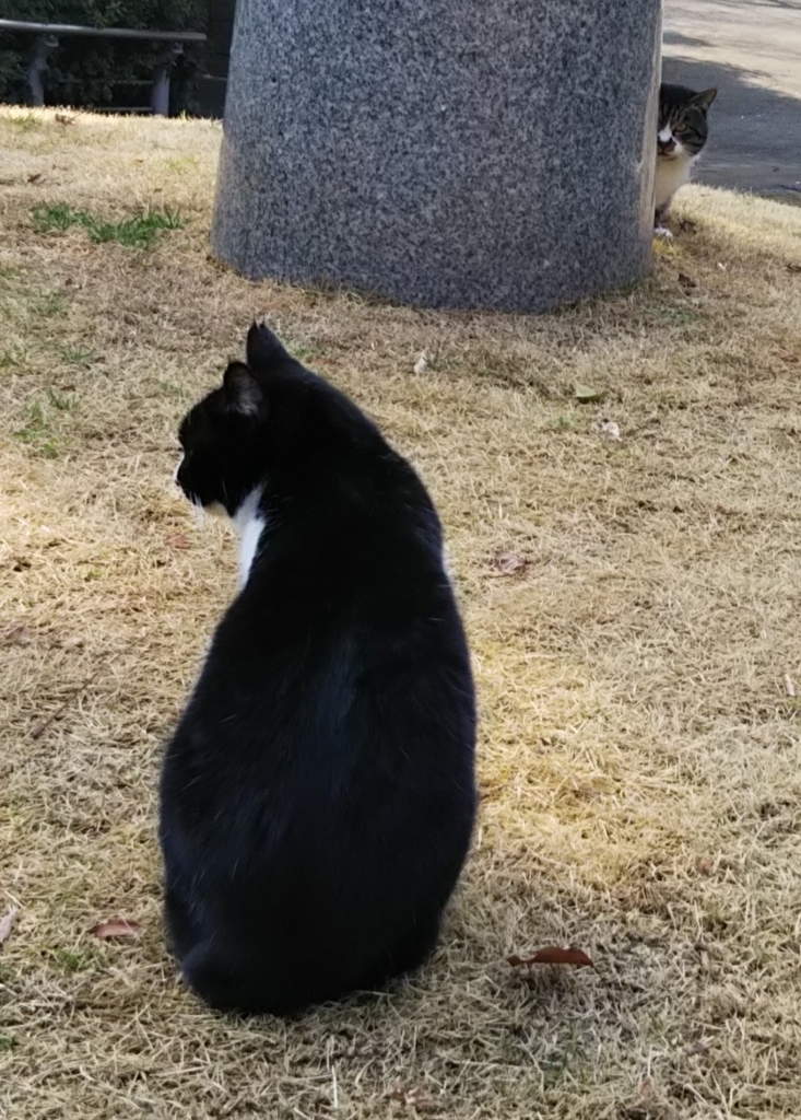f:id:tarojiroko:20180120115054j:plain