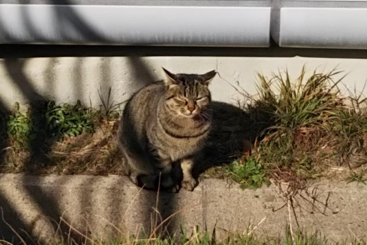 f:id:tarojiroko:20180124125833j:plain f:id:tarojiroko:20180124125833j:plain