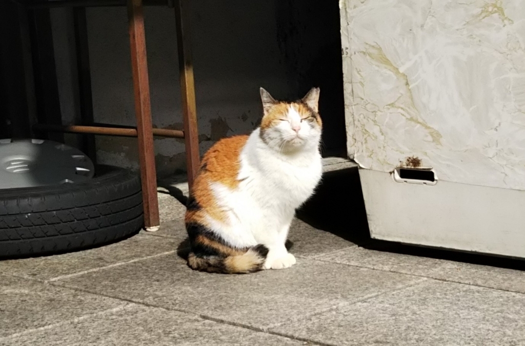 f:id:tarojiroko:20180125114831j:plain f:id:tarojiroko:20180125114831j:plain