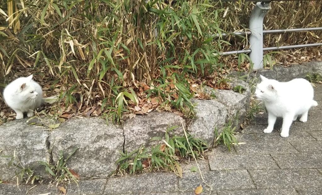 f:id:tarojiroko:20180125121220j:plain f:id:tarojiroko:20180125121220j:plain