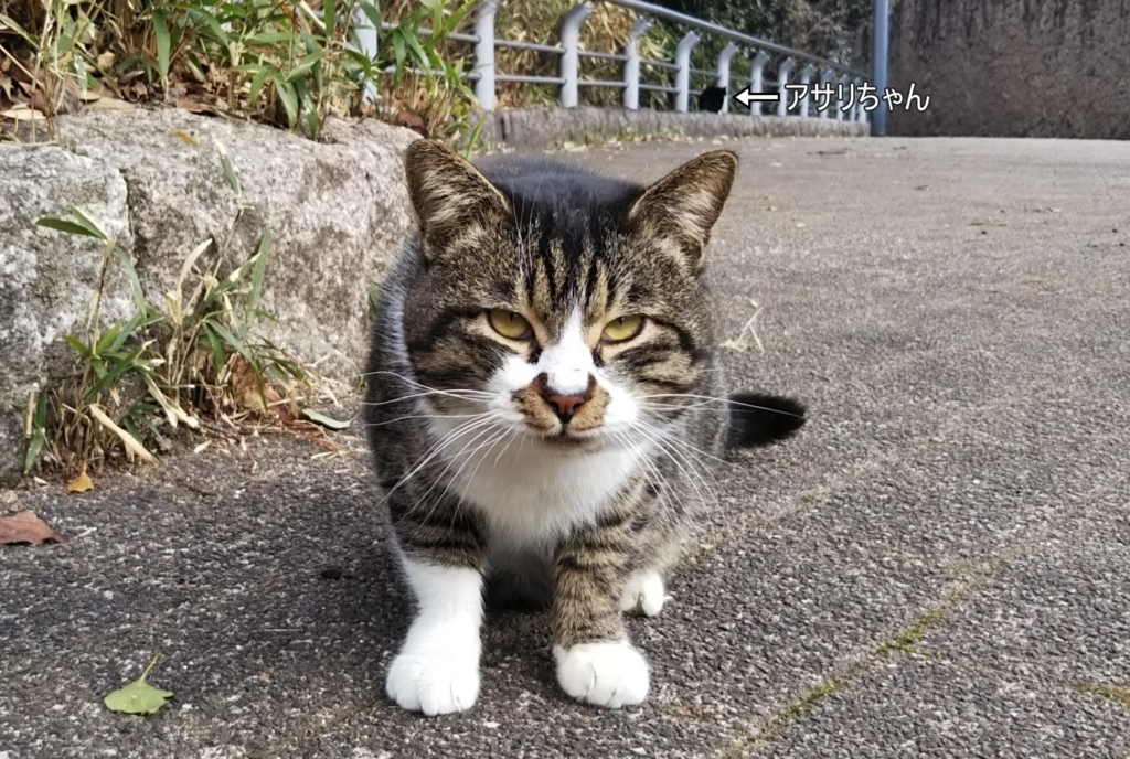 f:id:tarojiroko:20180126121509j:plain