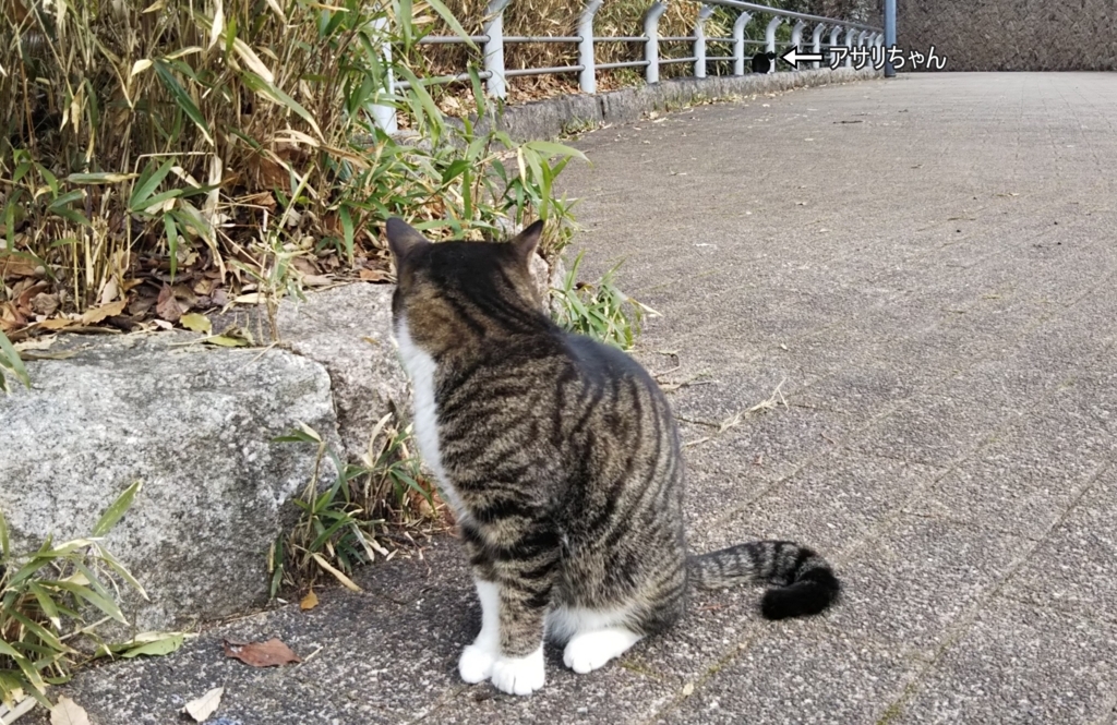 f:id:tarojiroko:20180126121555j:plain