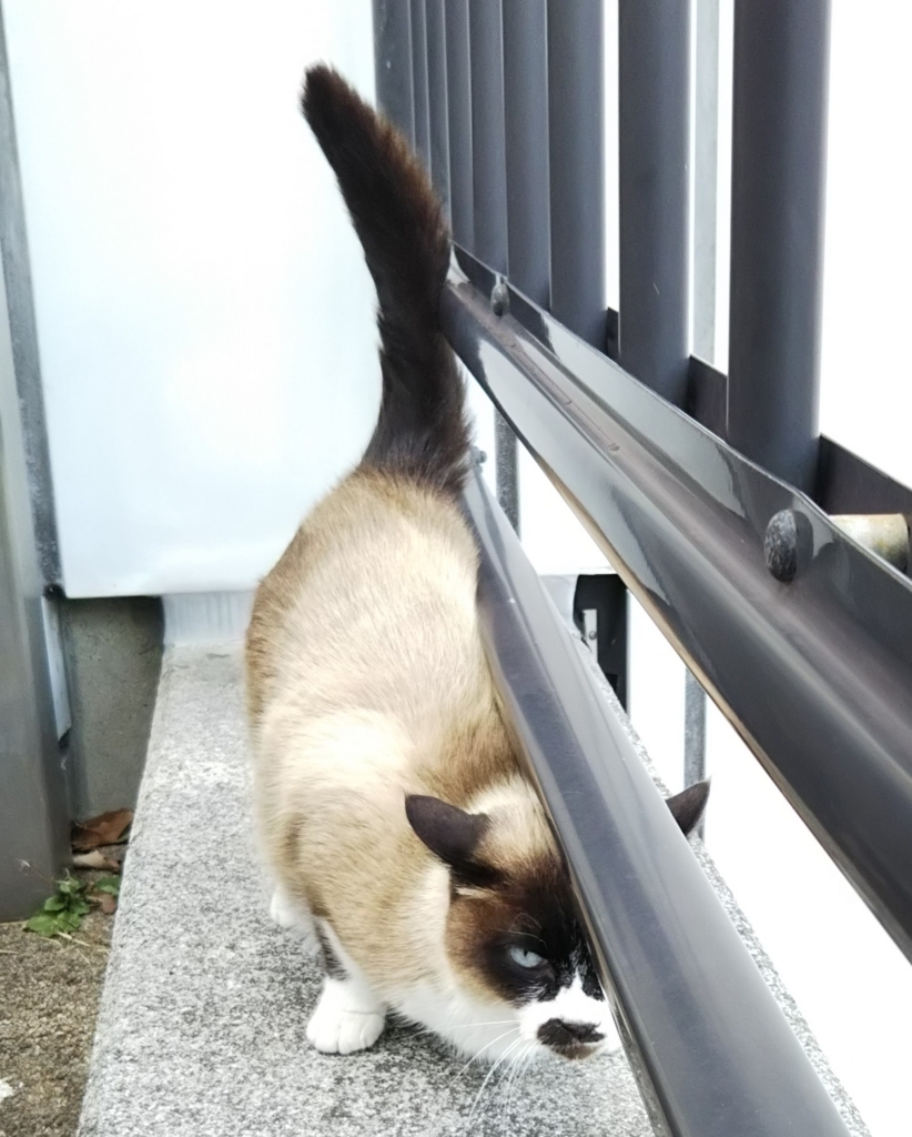 f:id:tarojiroko:20180126123914j:plain