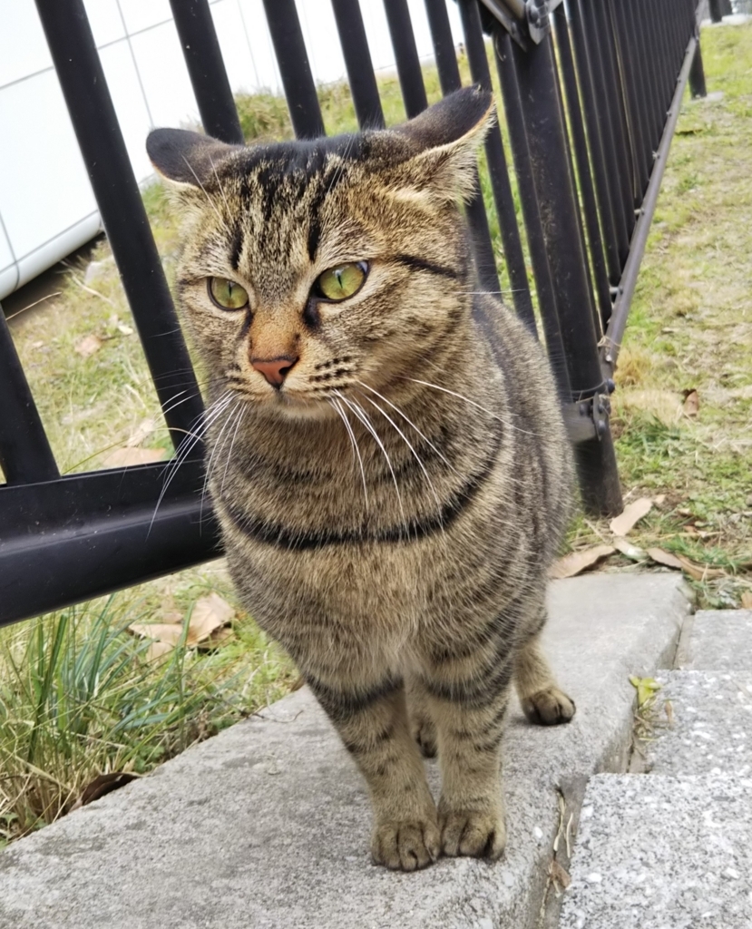 f:id:tarojiroko:20180127125350j:plain
