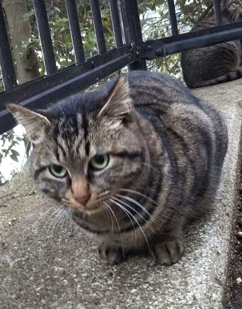 f:id:tarojiroko:20180128101137j:plain