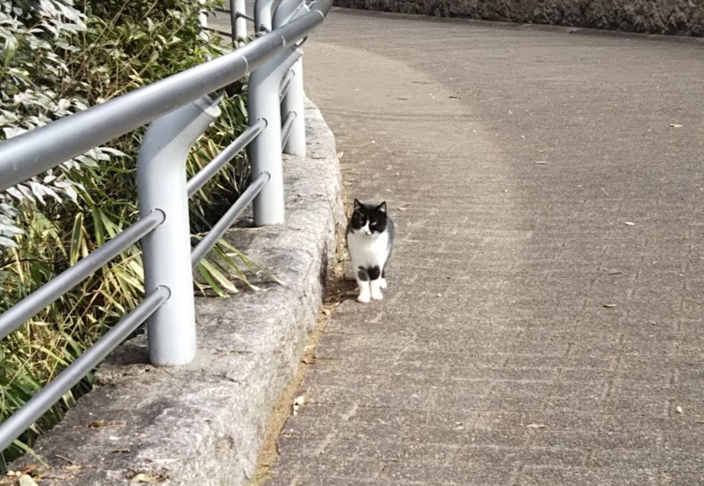 f:id:tarojiroko:20180131120537j:plain