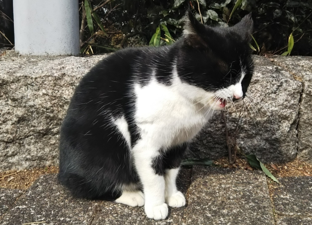 f:id:tarojiroko:20180131122045j:plain