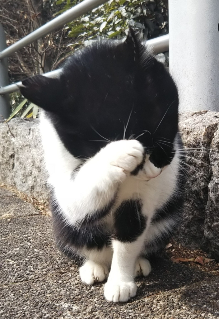 f:id:tarojiroko:20180131122056j:plain